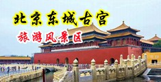 欧洲大屌中国北京-东城古宫旅游风景区